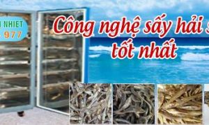 Gía máy sấy hải sản