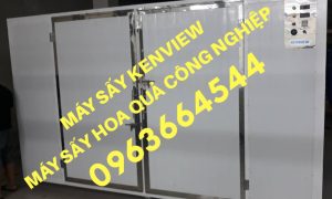 Máy sấy hoa quả công nghiệp kenview