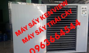 Máy sấy trái cây kenview