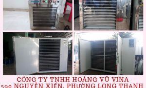 Máy sấy thực phẩm loại nào tốt – Máy sấy kenview