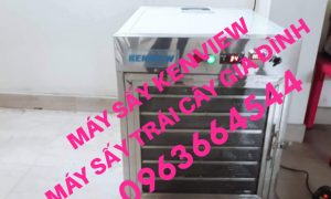 Máy sấy trái cây gia đình – Máy sấy kenview