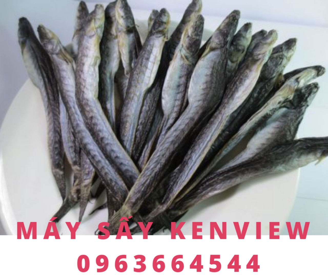 Máy sấy hải sản khô kenview 0963664544